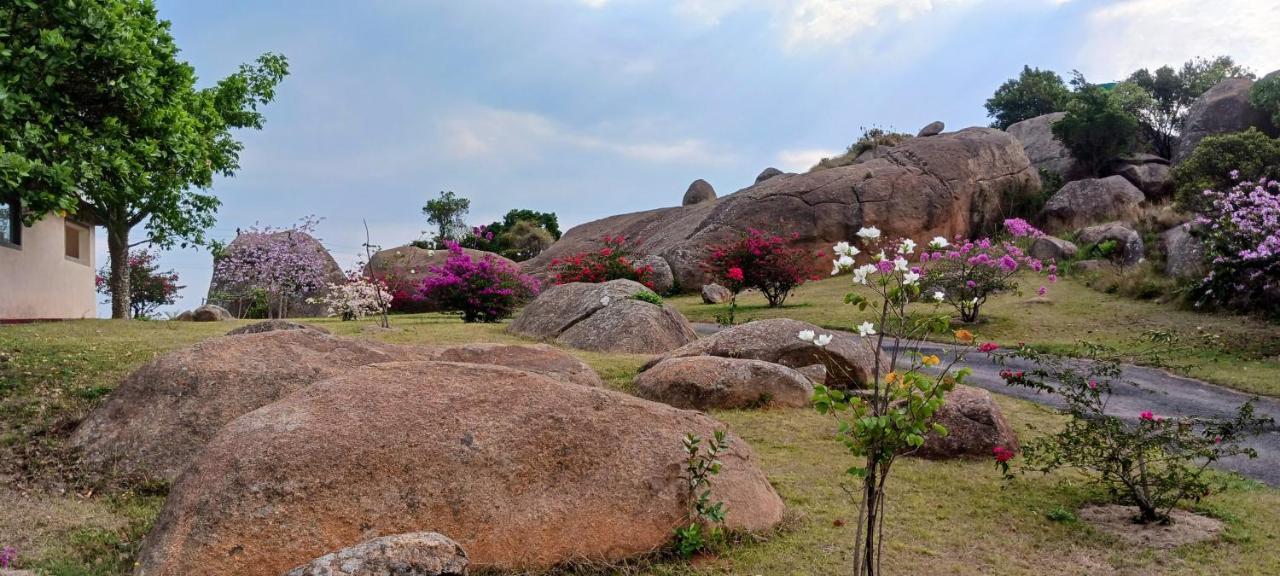 Mdzimba Mountain Lodge 에즐위니 외부 사진