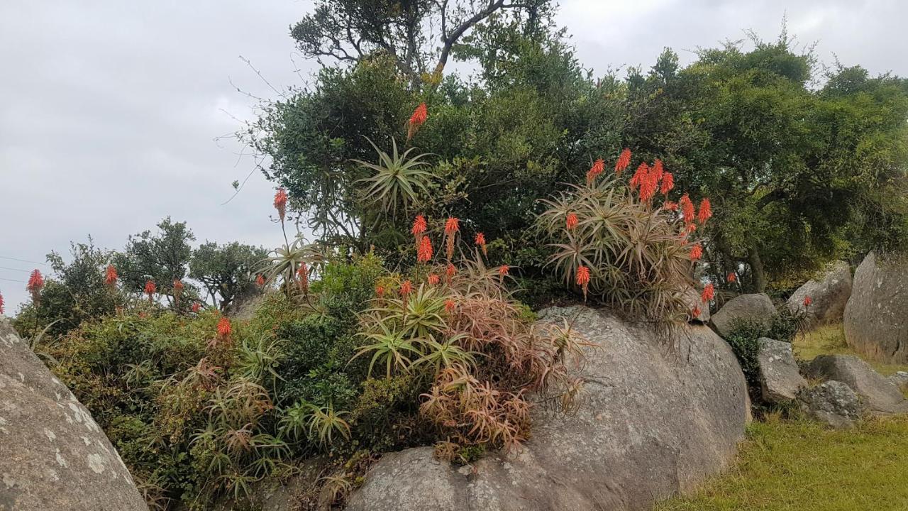 Mdzimba Mountain Lodge 에즐위니 외부 사진